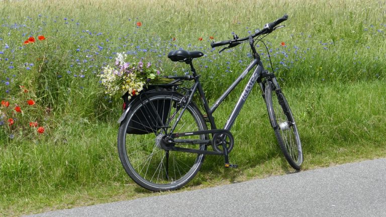 Guthan's Landhaus - Fahrrad auf Wiese